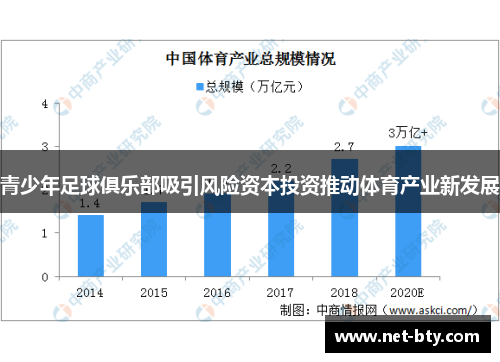 青少年足球俱乐部吸引风险资本投资推动体育产业新发展