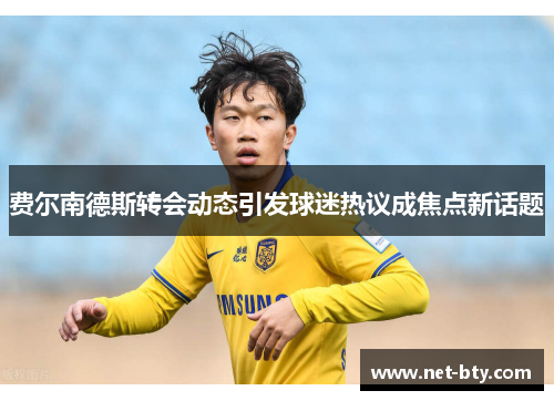 费尔南德斯转会动态引发球迷热议成焦点新话题