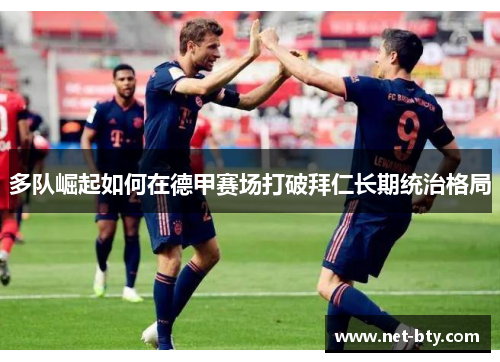 多队崛起如何在德甲赛场打破拜仁长期统治格局